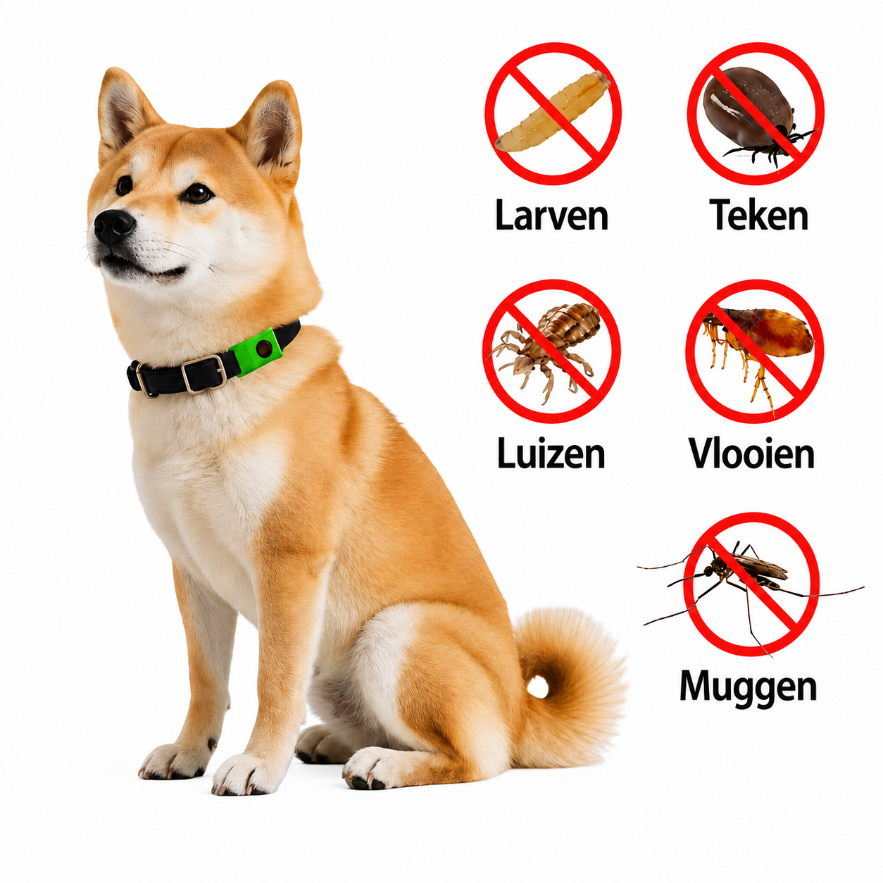 FurSafe 12 maanden 100% Natuurlijke teken en vlooien bescherming