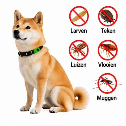 FurSafe 12 maanden 100% Natuurlijke teken en vlooien bescherming
